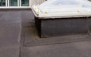 disadvantages of Fanellan flat roofs